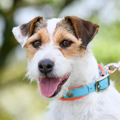 von der finsteren Klinge